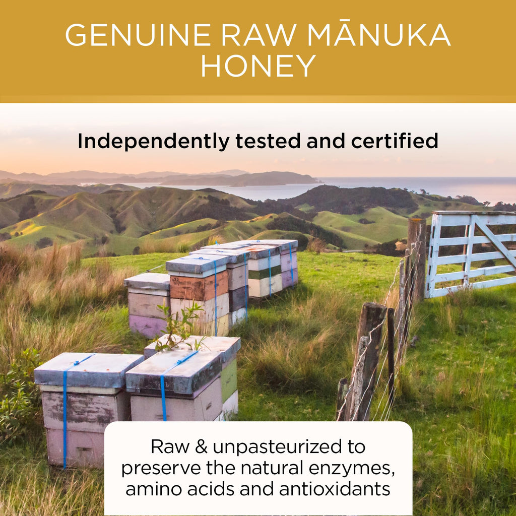 PURITI Manuka Honey MGO 300+ / UMF 10+ | 100% Pure Genuine Raw Manuka Honey | 8.8 Oz / 250g | Harvested, Tested, Certified and Packed in New Zealand