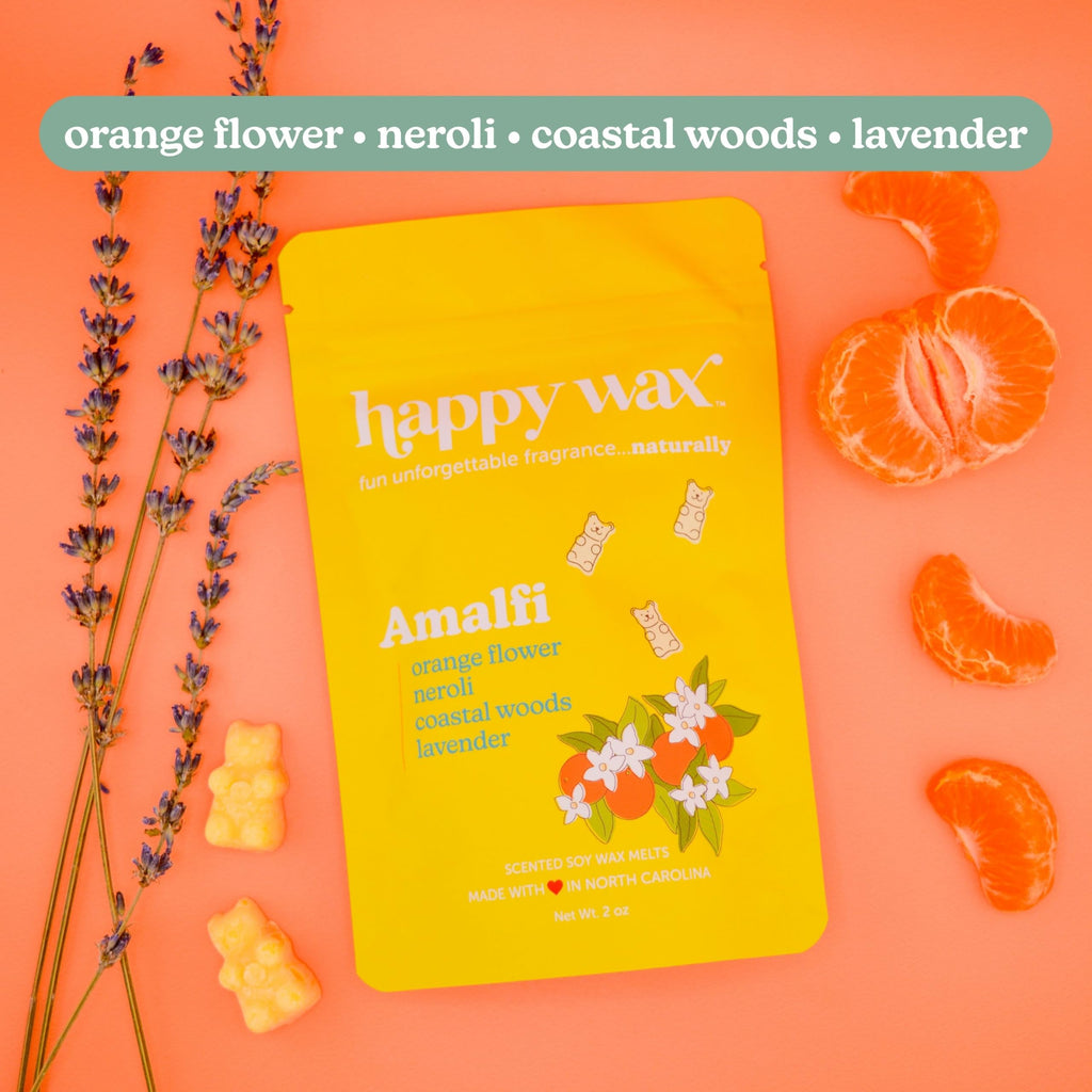 Happy Wax Italy Collection: Natural, Non-Toxic Scented Soy Wax Melts – Total 6oz Variety Pack: Florence, Amalfi, Sicily