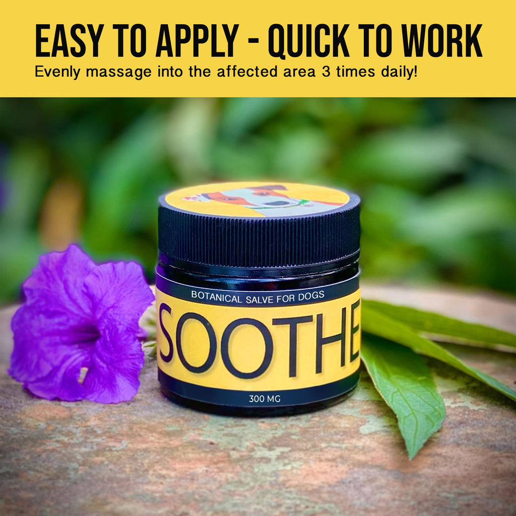 Hemp Dog Health Soothe - Dog Balm with Hemp Oil - Hot Spots, Itchy Skin, Rashes, Bug Bites, & Wound Care - Natural Anti-Itch Relief