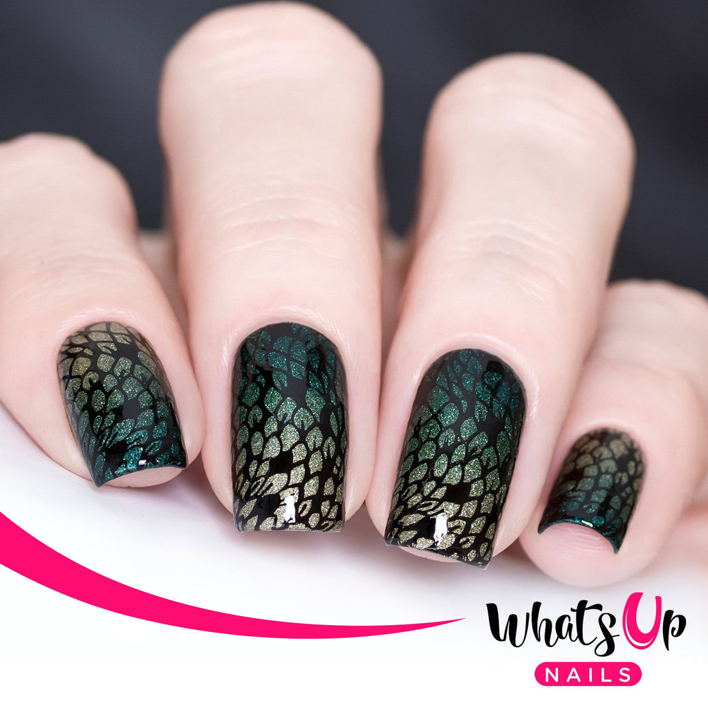 Whats Up Nails - Animal Stamping Plates 2 pack (A015, B025) for Nail Art Design