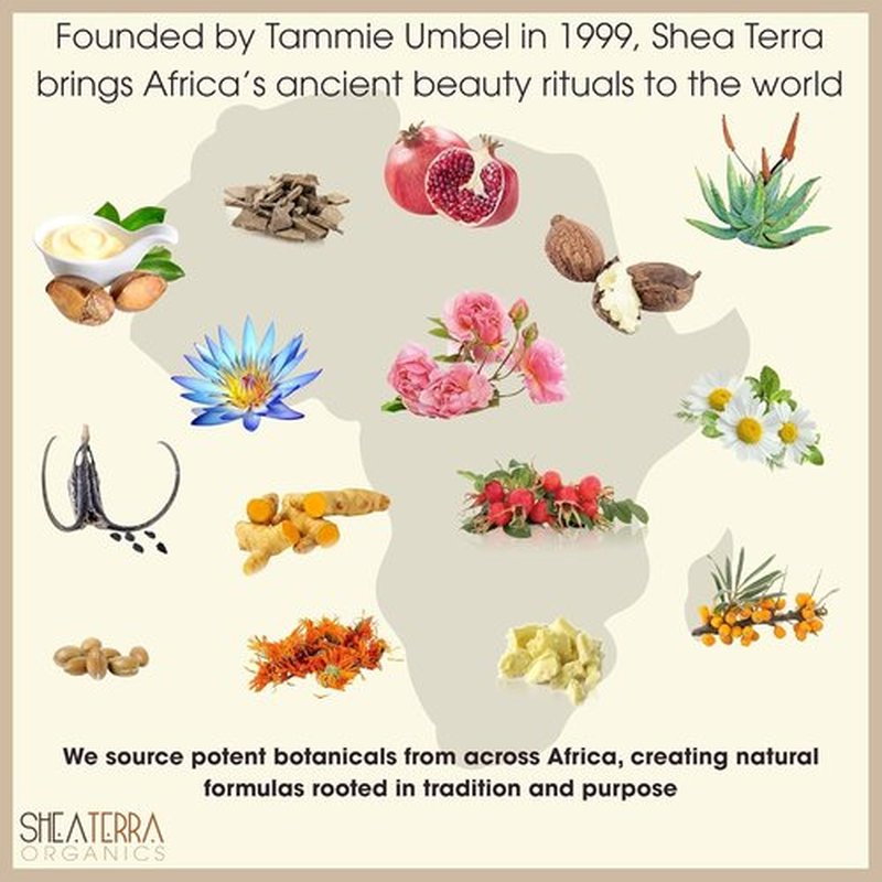 Shea Terra Organics Shea Nilotik’ Oil - Natural Daily Skin Moisturizer with Lavender | 8 oz