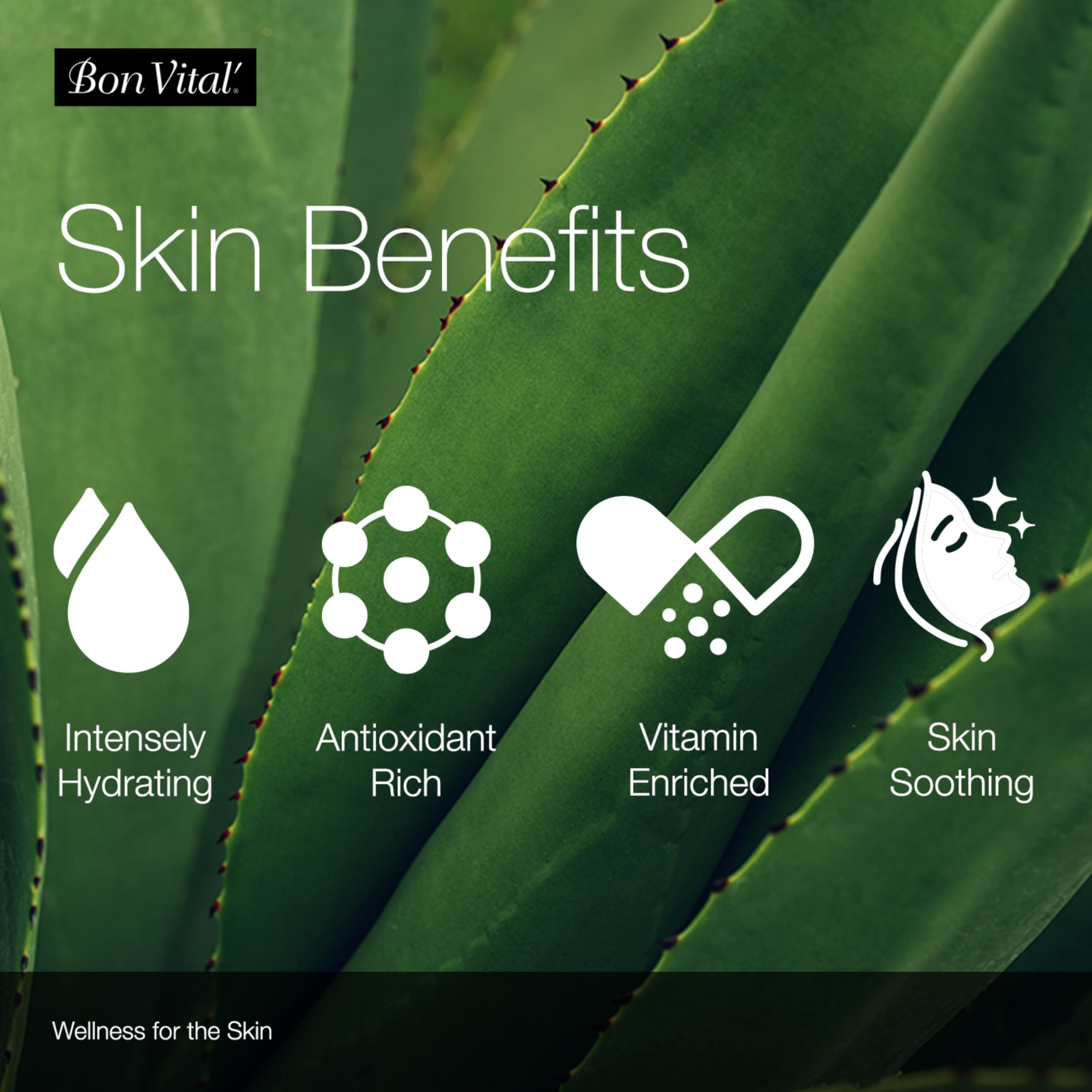 Bon Vital' Organica Organic Massage Creme, 5 Gallon, Organic Jojoba Oil, Non-Greasy, Hypoallergenic, Cream For Sensitive Skin, Massage Therapy & Muscle Relaxation, Spa Quality