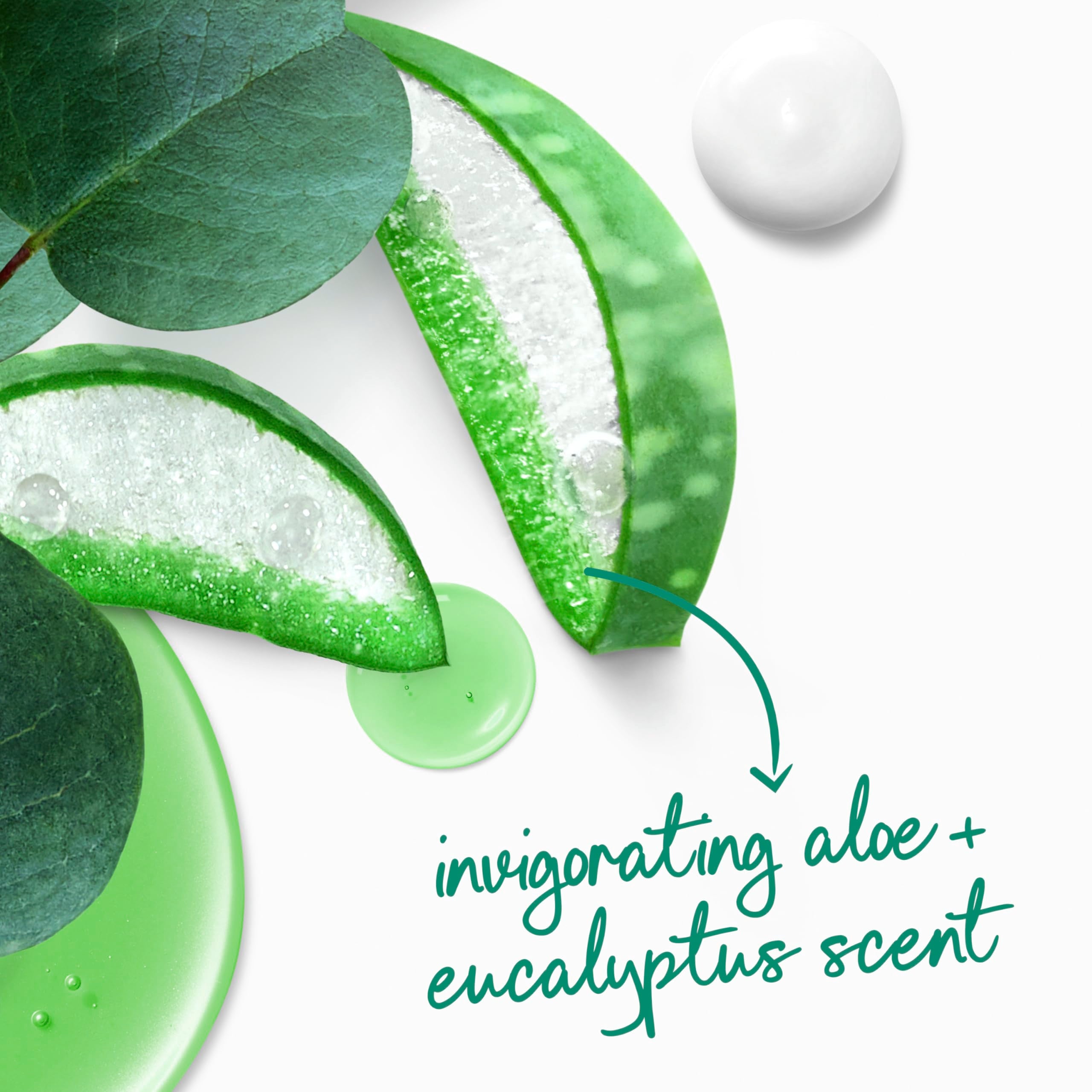 Dove Body Wash Invigorate Aloe & Eucalyptus For 24hr Lotion-Soft Skin Moisturizing Skin Cleanser with No Sulfates No Parabens 20 oz