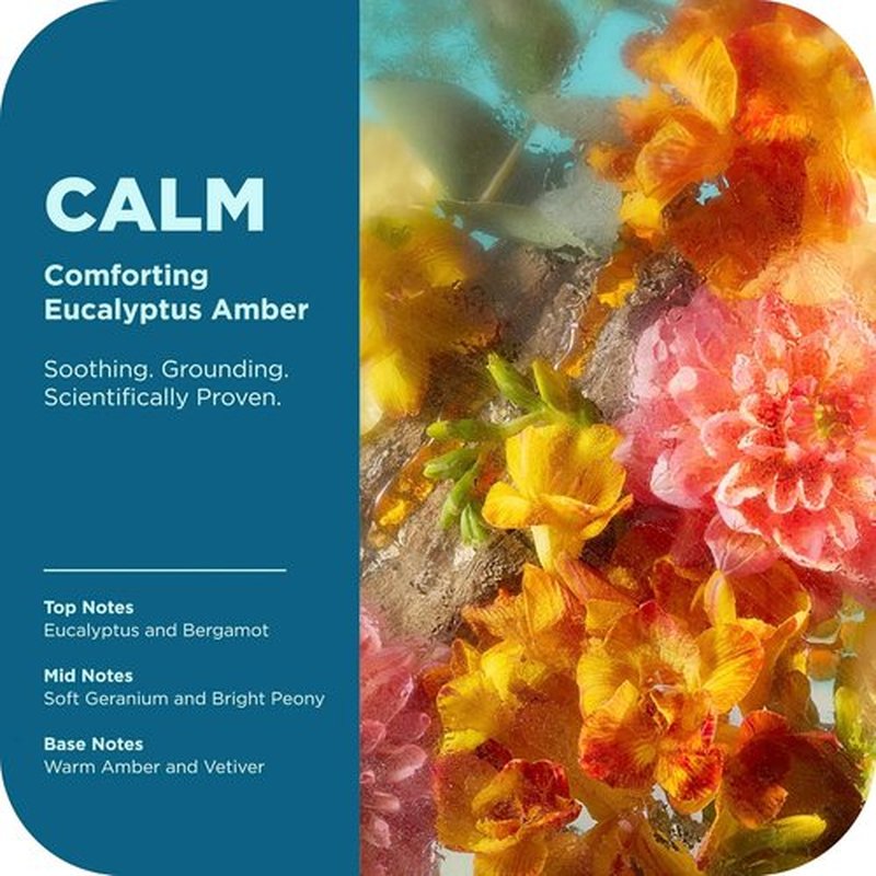 OLLY Calm Body Wash - Nourishing Cleanser with Hyaluronic Acid & Adaptogens | Eucalyptus Amber, 17oz