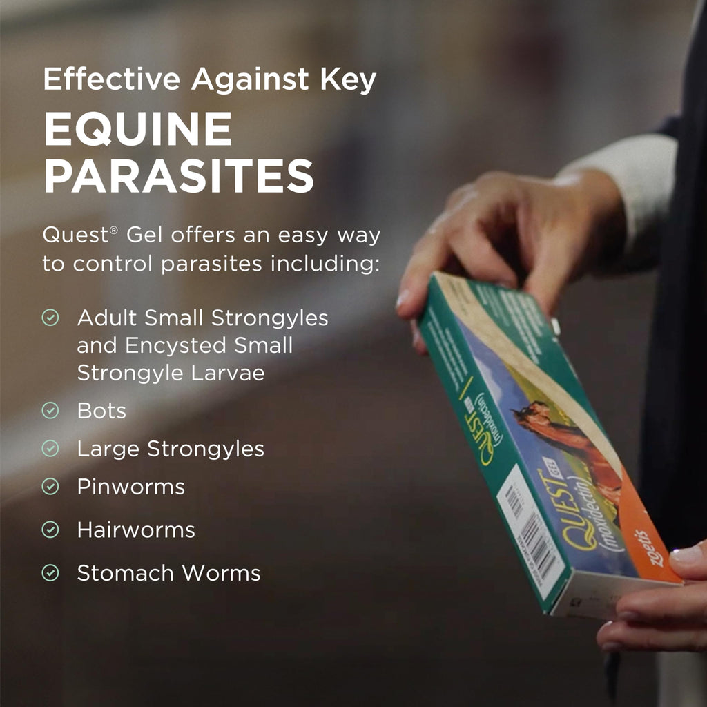 Quest Gel Moxidectin Horse Dewormer, Early Grazing Season recommended for Horses and Ponies 6 months and older, 0.5oz Sure-Dial Syringe