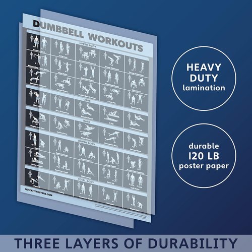 Palace Learning Dumbbell Workout Exercise Poster - Laminated, Dark Design | 18" x 24"