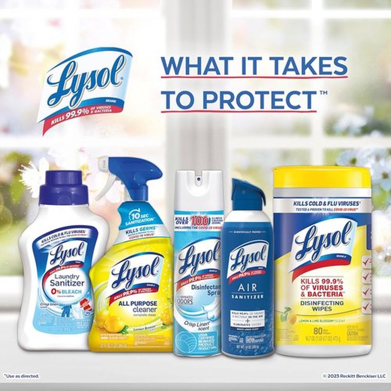 Lysol Toilet Bowl Cleaner Gel - Powerful Stain Removal & Disinfection | Forest Rain Scent, 24oz (Pack of 2)