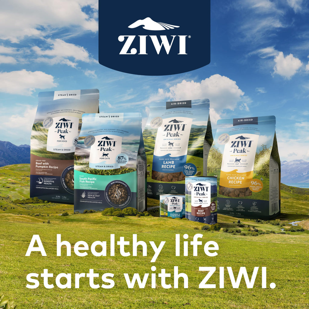 ZIWI Peak Wet Cat Food – All Natural, High Protein, Grain Free, Limited Ingredient, with Superfoods (Venison, Case of 24, 3oz Cans)