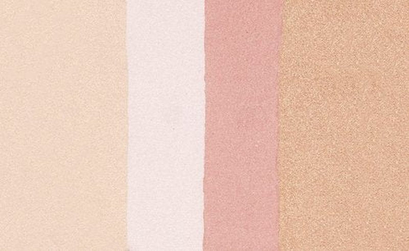 Blush Palette By Wet n Wild MegaGlo Illuminating Blush Makeup Powder Palette, Catwalk Pink, Highlighter Face Make Up (Pack of 2)