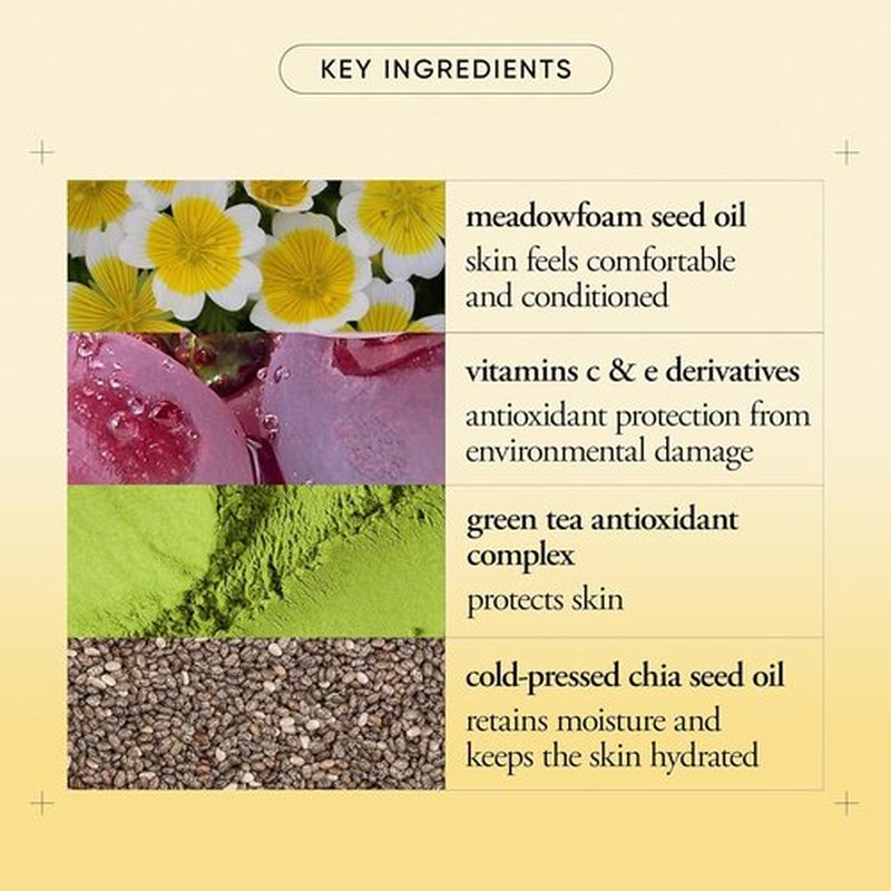 Philosophy Purity Made Simple Pore Face Moisturizer - Ultra-Light Hydration with Vitamins C & E, Green Tea, Meadowfoam Seed Oil & Chia Seed Oil
