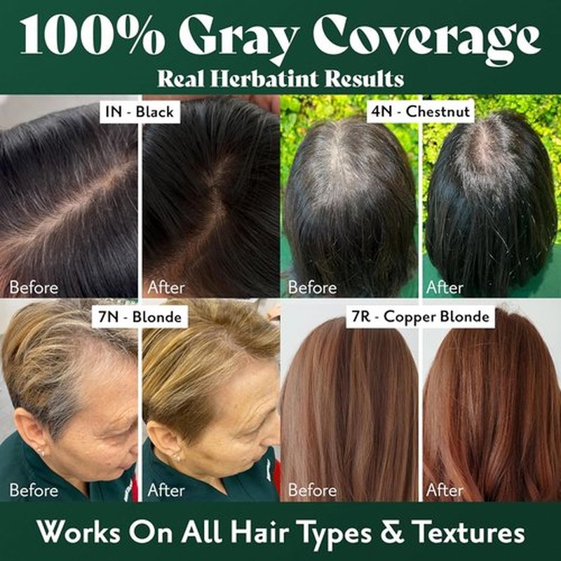 Herbatint Permanent Hair Dye - 3N Dark Chestnut - Ammonia-Free, Vegan Formula for 100% Gray Coverage - 5.75 fl oz (4 Pack)