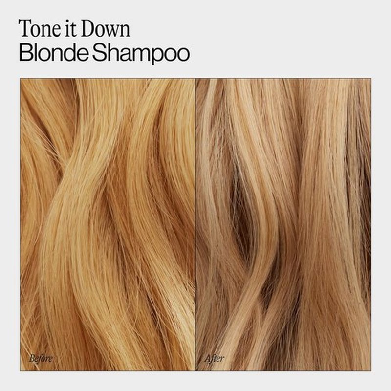 Eva NYC Purple Shampoo - Gentle Toning Formula for Blonde, Gray & Lightened Hair - Adds Shine & Softens - 10 fl oz