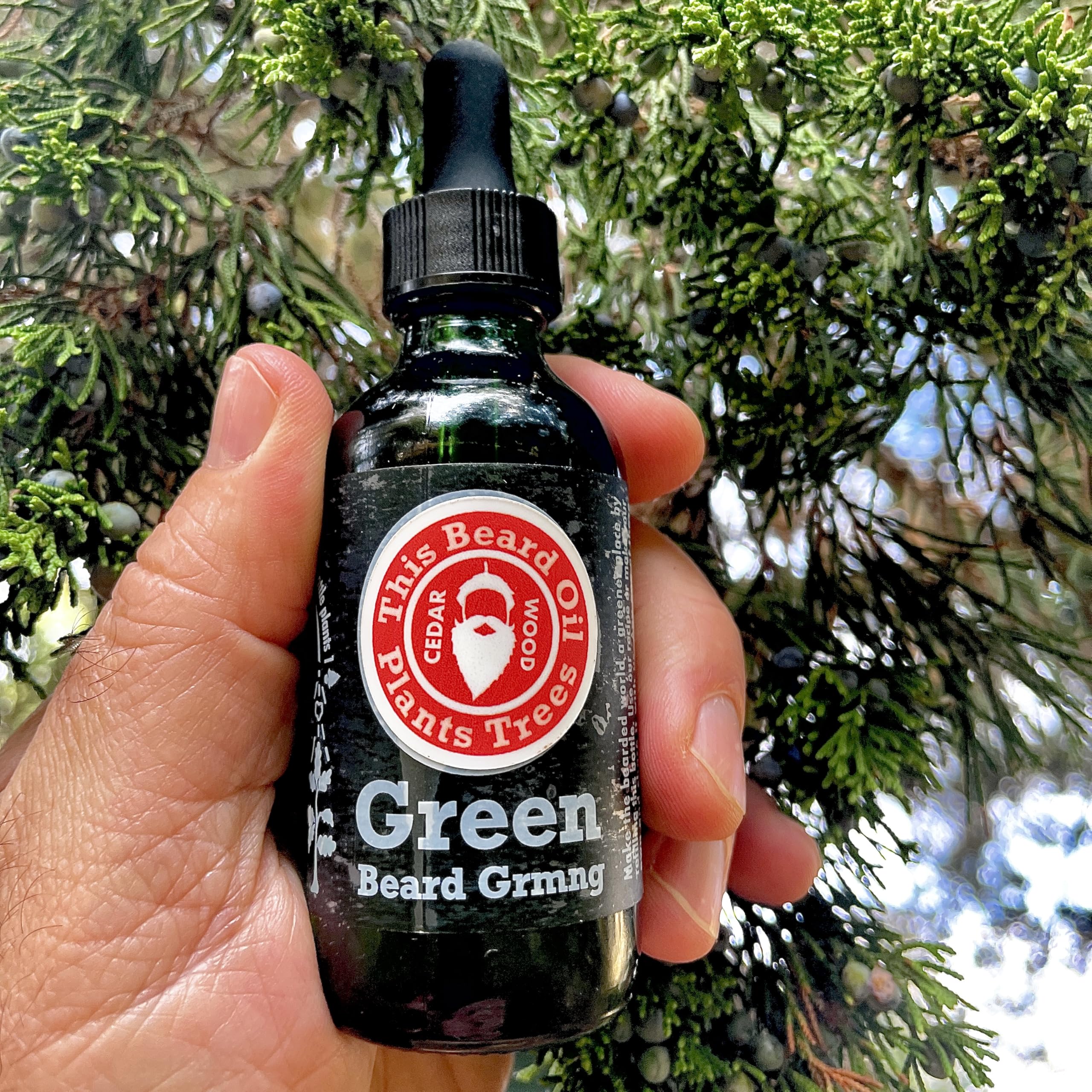 Cedarwood Beard Oil for Men – Natural Men’s Beard Oil with Hempseed, Jojoba, Meadowfoam & Coconut Oils – Beard Softener, Strengthens and Moisturizes – Beard Conditioner for Men (Cedarwood, 1 Pack)
