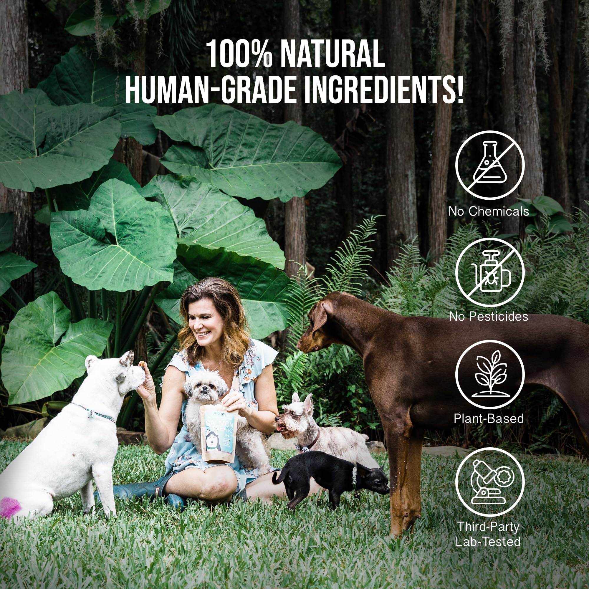 Hemp Dog Health Soothe - Dog Balm with Hemp Oil - Hot Spots, Itchy Skin, Rashes, Bug Bites, & Wound Care - Natural Anti-Itch Relief
