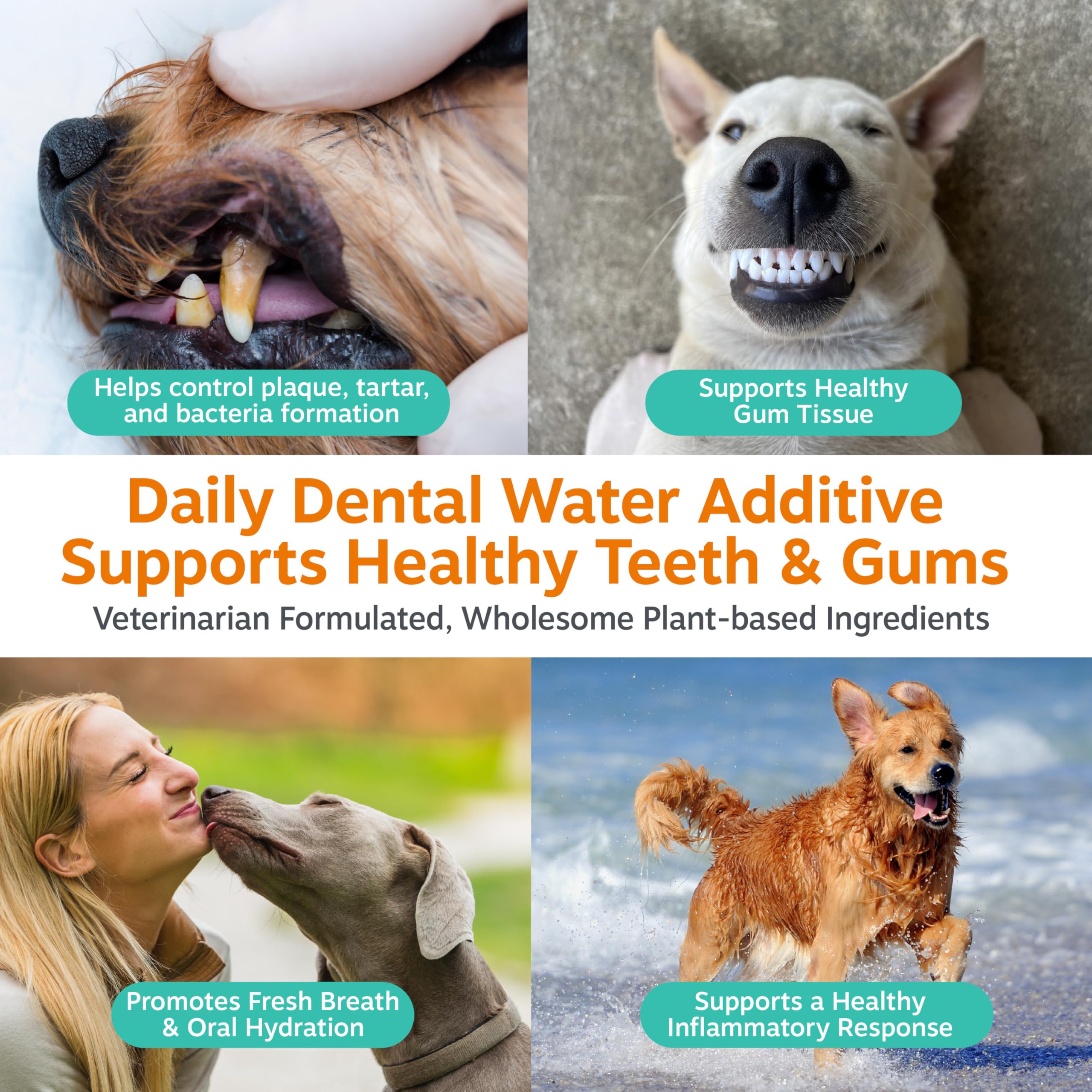 Zesty Paws Dog Dental Water Additive - Dog Breath Freshener + Oral Care - Plaque & Tartar Control - for Teeth & Gum Health - Pomegranate, Green Tea, Aloe & Zinc Extract