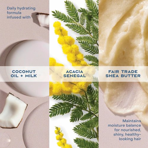 Shea Moisture Daily Hydration Shampoo - Virgin Coconut Oil for All Hair Types | Sulfate-Free, 13 oz