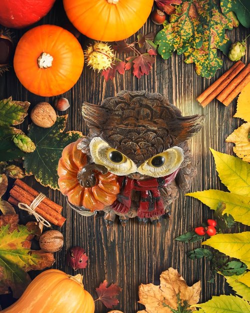 iStatue Fall Harvest Owl Ornaments - 7” Resin Craft with Red Scarf & Pumpkin | Thanksgiving Table Decor