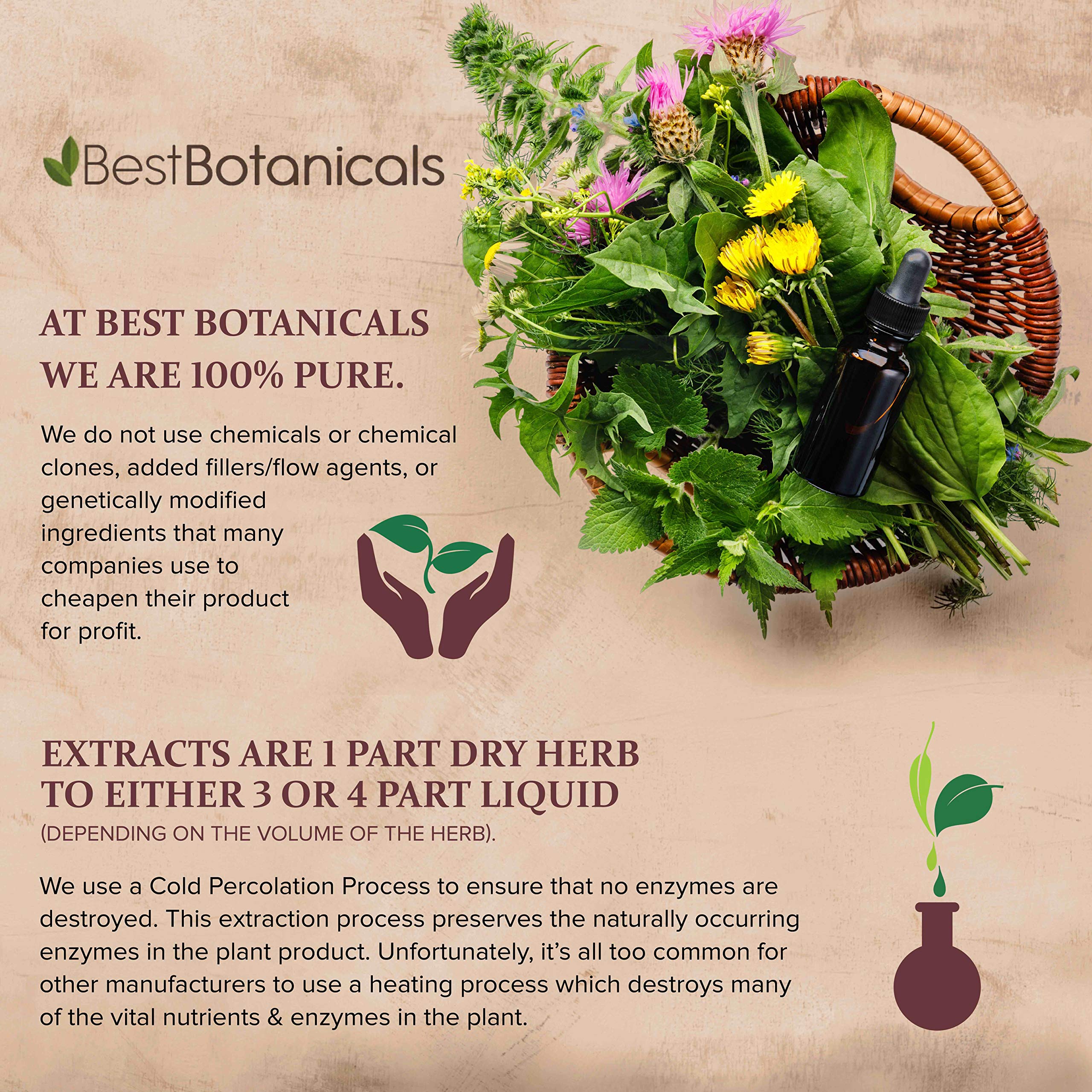 Best Botanicals Poke Root Cut 16 oz.