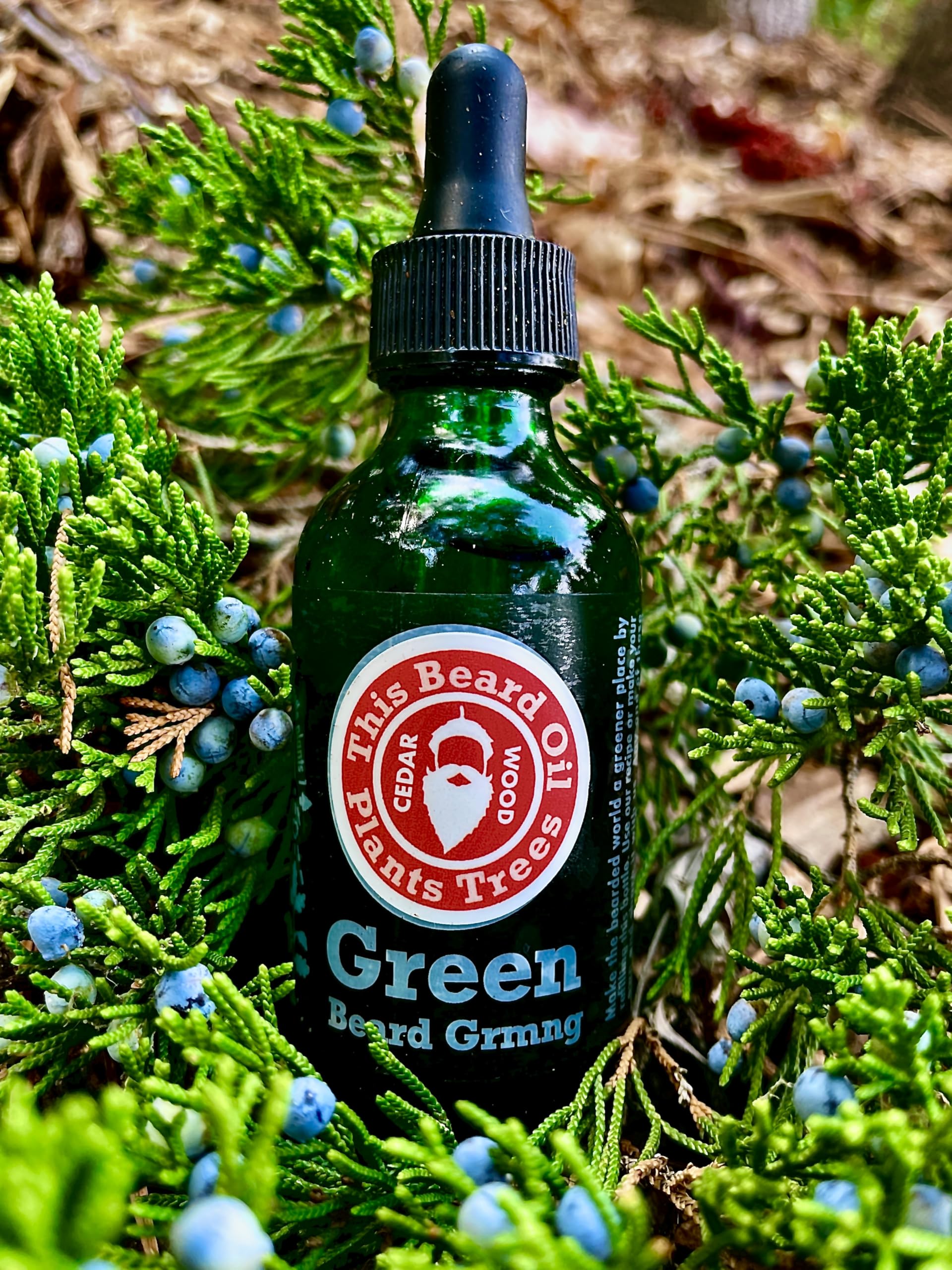 Cedarwood Beard Oil for Men – Natural Men’s Beard Oil with Hempseed, Jojoba, Meadowfoam & Coconut Oils – Beard Softener, Strengthens and Moisturizes – Beard Conditioner for Men (Cedarwood, 1 Pack)