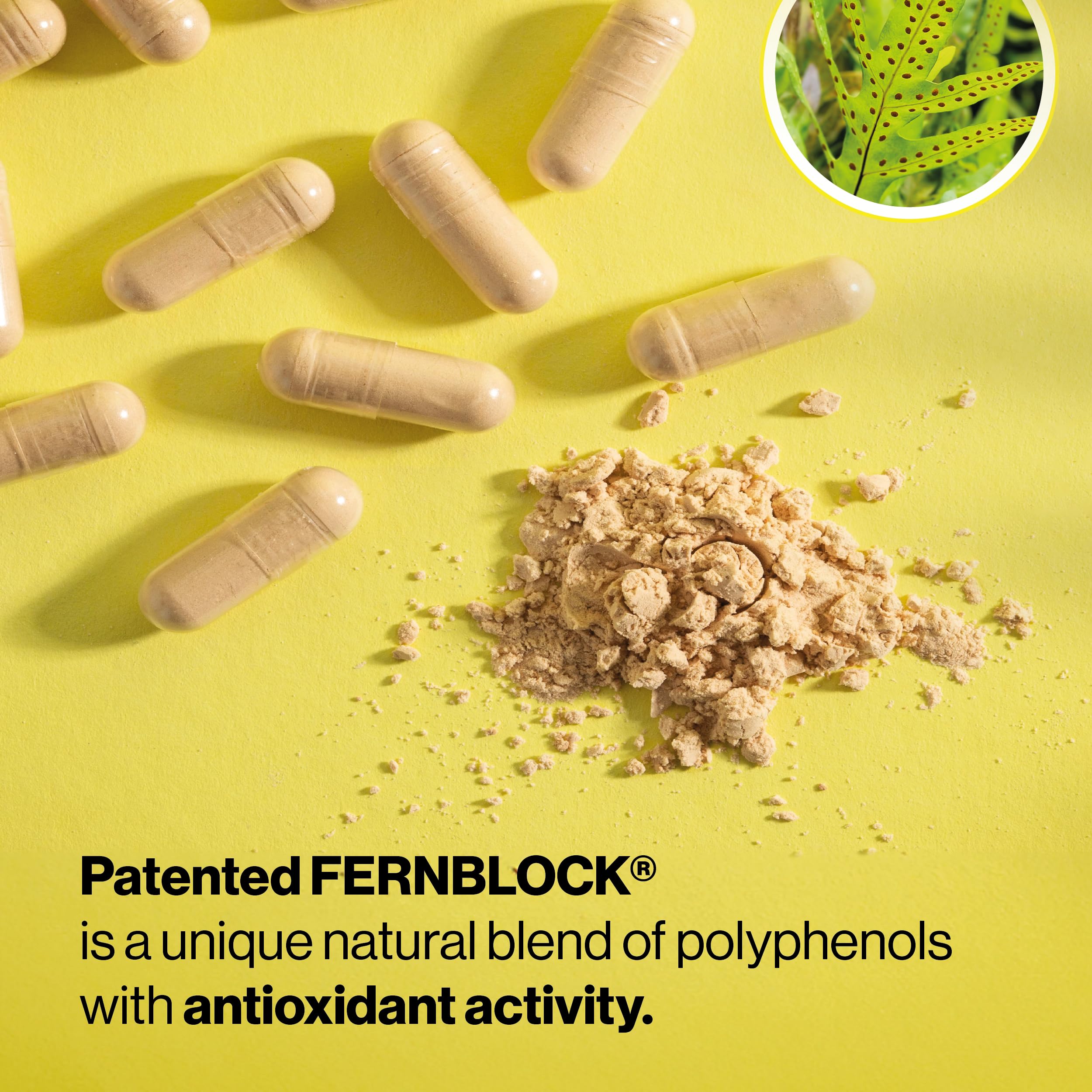Heliocare Skin Care Dietary Supplement: 240mg Polypodium Leucotomos Extract Pills - Antioxidant Rich Formula with Fernblock and PLE Technology - 60 Veggie Capsules