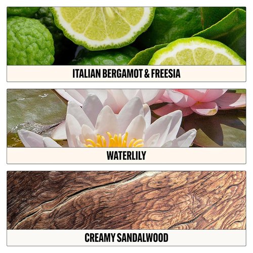 Le Monde Gourmand Eau de Parfum Spray for Women - Clean Sandalwood, Bergamot & Water Lily | Vegan, 1 fl oz (30 ml)