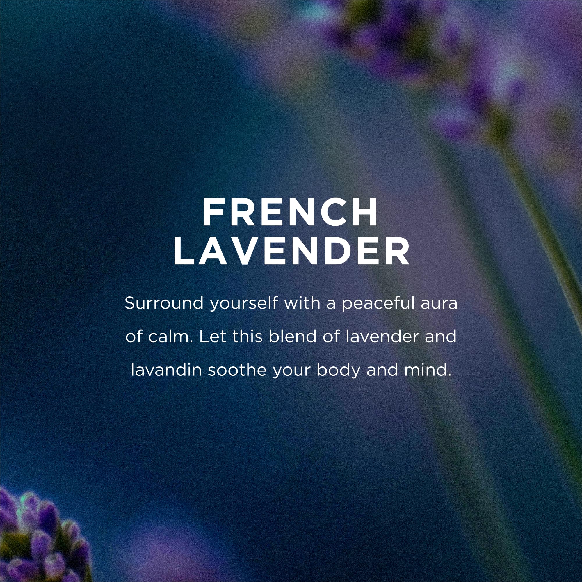 EO Hand Cream, 2.5 Ounce (Pack of 2), French Lavender, Moisturuzer for dry skin and made with Essential Oils for Men and Women
