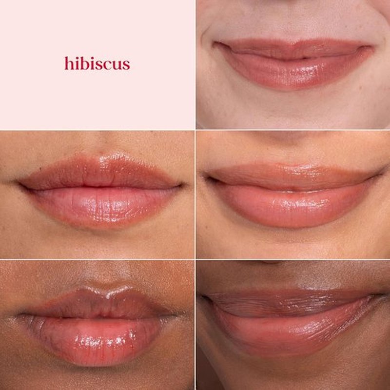 Burt's Bees Lip Tint Balm - Long-Lasting Hydrating Formula with Shea Butter | Hibiscus, 1 Tube