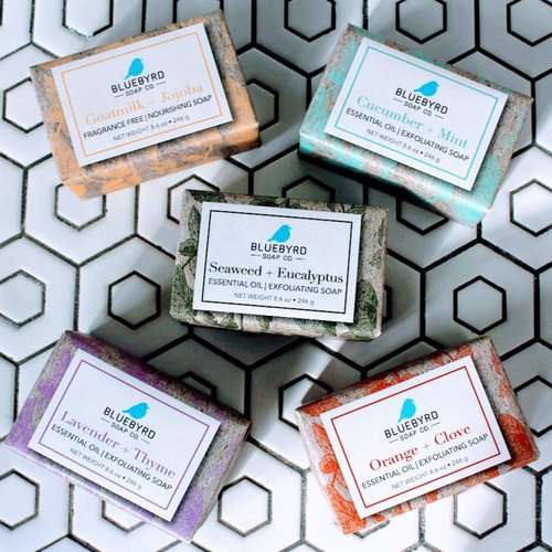 BLUEBYRD Soap Co. Eucalyptus & Seaweed Exfoliating Soap Bar, 100% Vegan Cold Press Large Soap Bars, Scented with Premium Essential Oils, Scrub Soap Bars for Men and Women, Exfoliate Body Naturally with Oatmeal, Shea Butter, Olive Oil, 8.6oz (EUCALYPTUS &