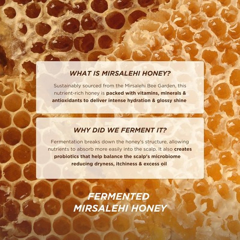 Gisou Honey Gloss Ceramide Therapy Hydrating Conditioner – Smooths, Detangles & Adds Shine with Mirsalehi Honey & Ceramides