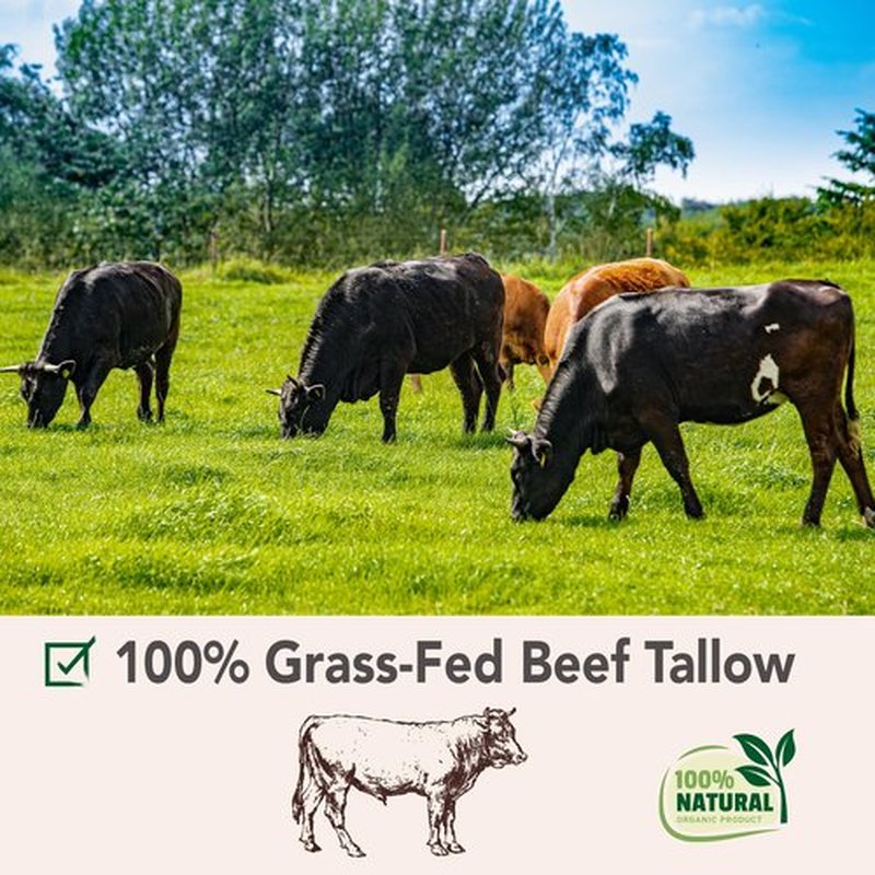 ANGELYCIA Beef Tallow for Skin | 100% Grass Fed Handmade Tallow Face Moisturizer | Face & Body | Whipped Moisturizer | 100% Natural Tallow Balm | No Parabens | Sensitive & Dry Skin, Eczema, Psoriasis