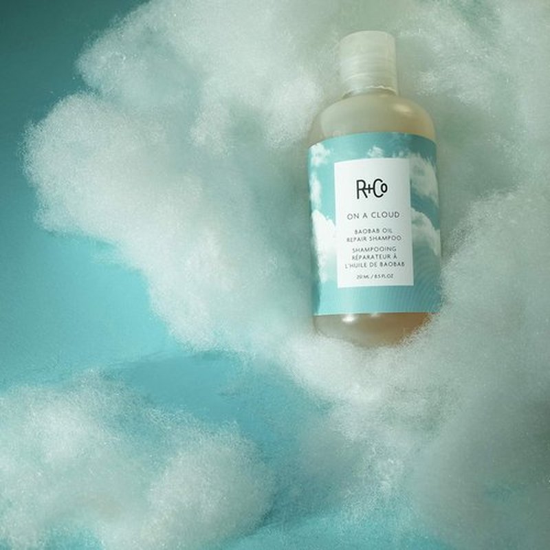 R+Co On A Cloud Baobab Repair Shampoo - Gentle Cleansing, Hydrating & Rebonds | Vegan & Cruelty-Free | 8.5 OZ