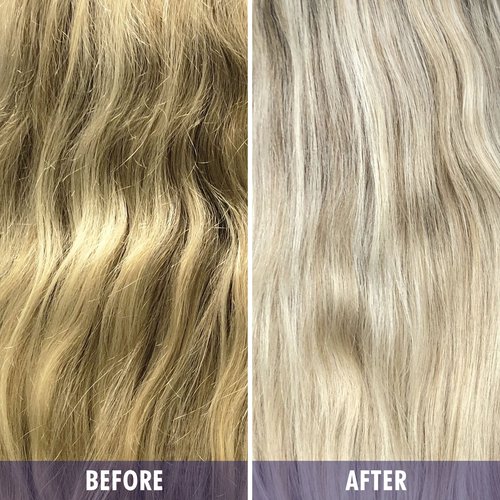 Framesi Color Lover Dynamic Blonde Purple Shampoo and Conditioner Set, 16.9 fl oz