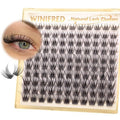 Natural Lash Clusters Clear Band Eyelash Clusters Wispy Lashes Clusters 8-14mm Cluster Eyelash Extensions C Curvature Individual Lashes DIY Lash Extension Natural Look by Winifred