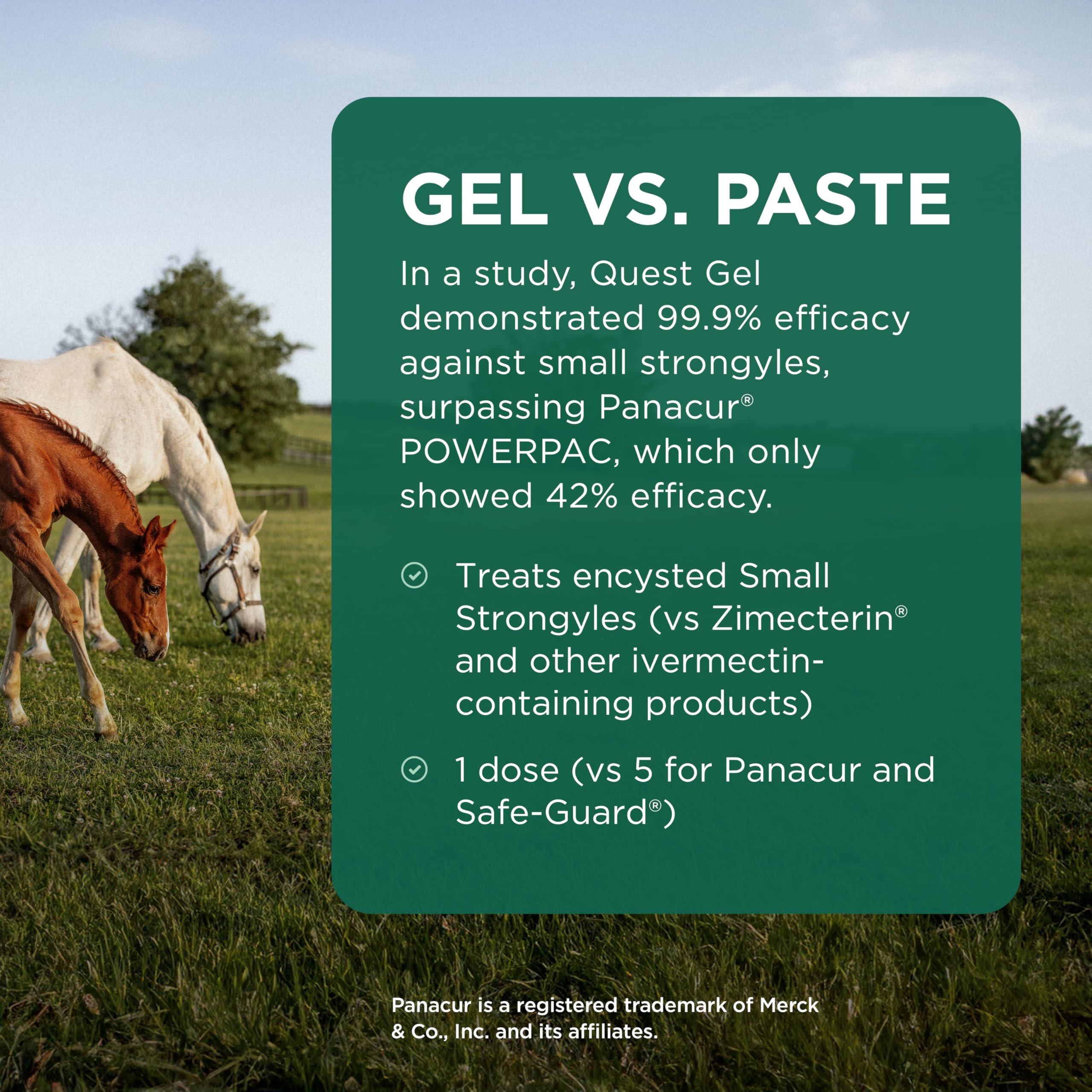 Quest Gel Moxidectin Horse Dewormer, Early Grazing Season recommended for Horses and Ponies 6 months and older, 0.5oz Sure-Dial Syringe