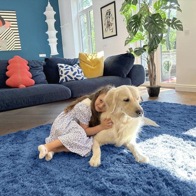 OLANLY Large Area Rug - Soft Fluffy Shaggy Carpet for Living Room & Bedroom | 5x8 ft, Blue