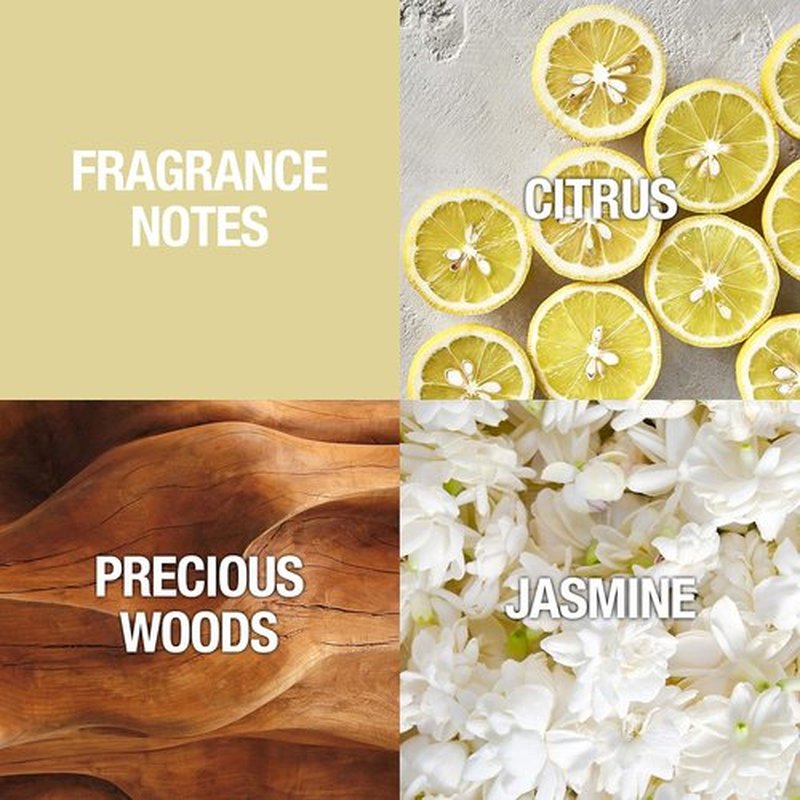 Alfred Sung Eau De Toilette Spray - Elegant Women's Perfume | 3.4 Fl Oz