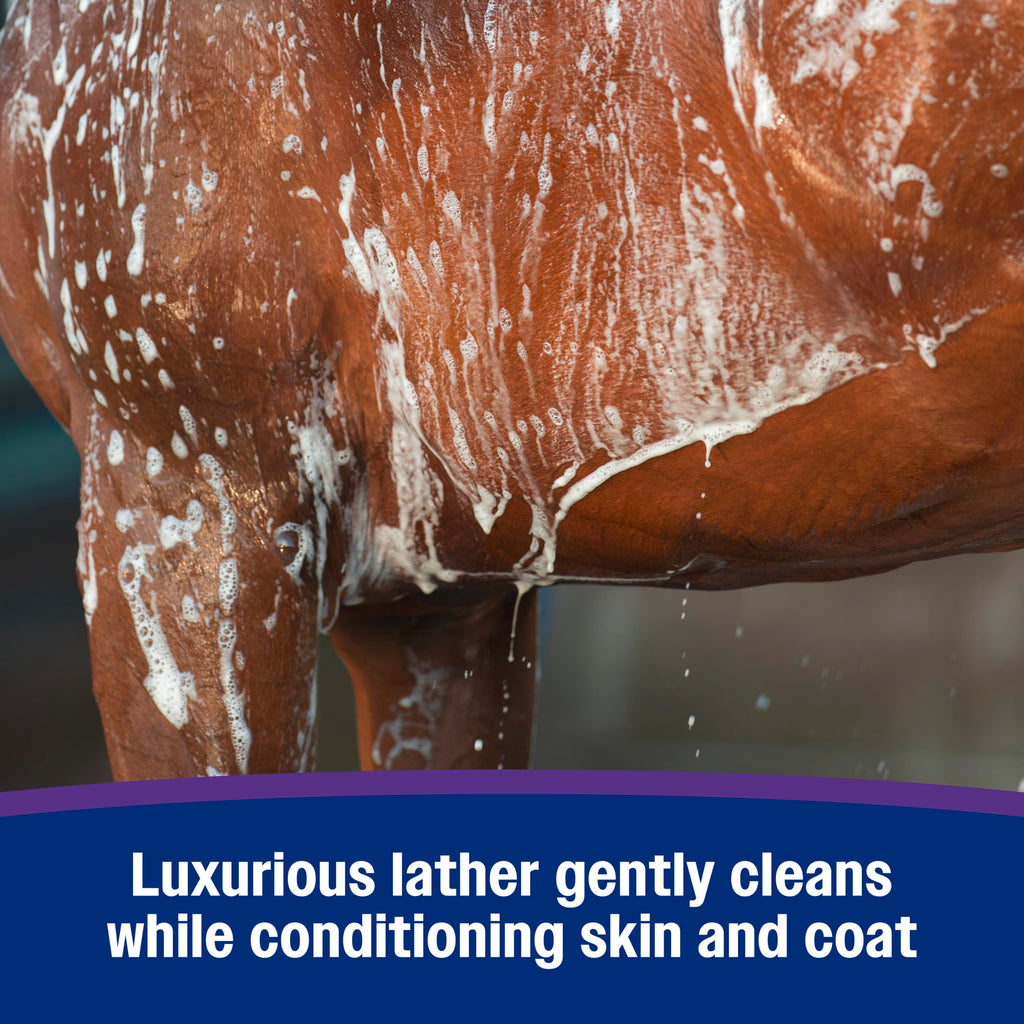 Farnam Vetrolin Body Wash, Time-Saving with No Scrubbing, Gentle and Moisturizing with Argan Oil, Soothes Dry Skin, for Horses and Dogs, 32 fl oz.