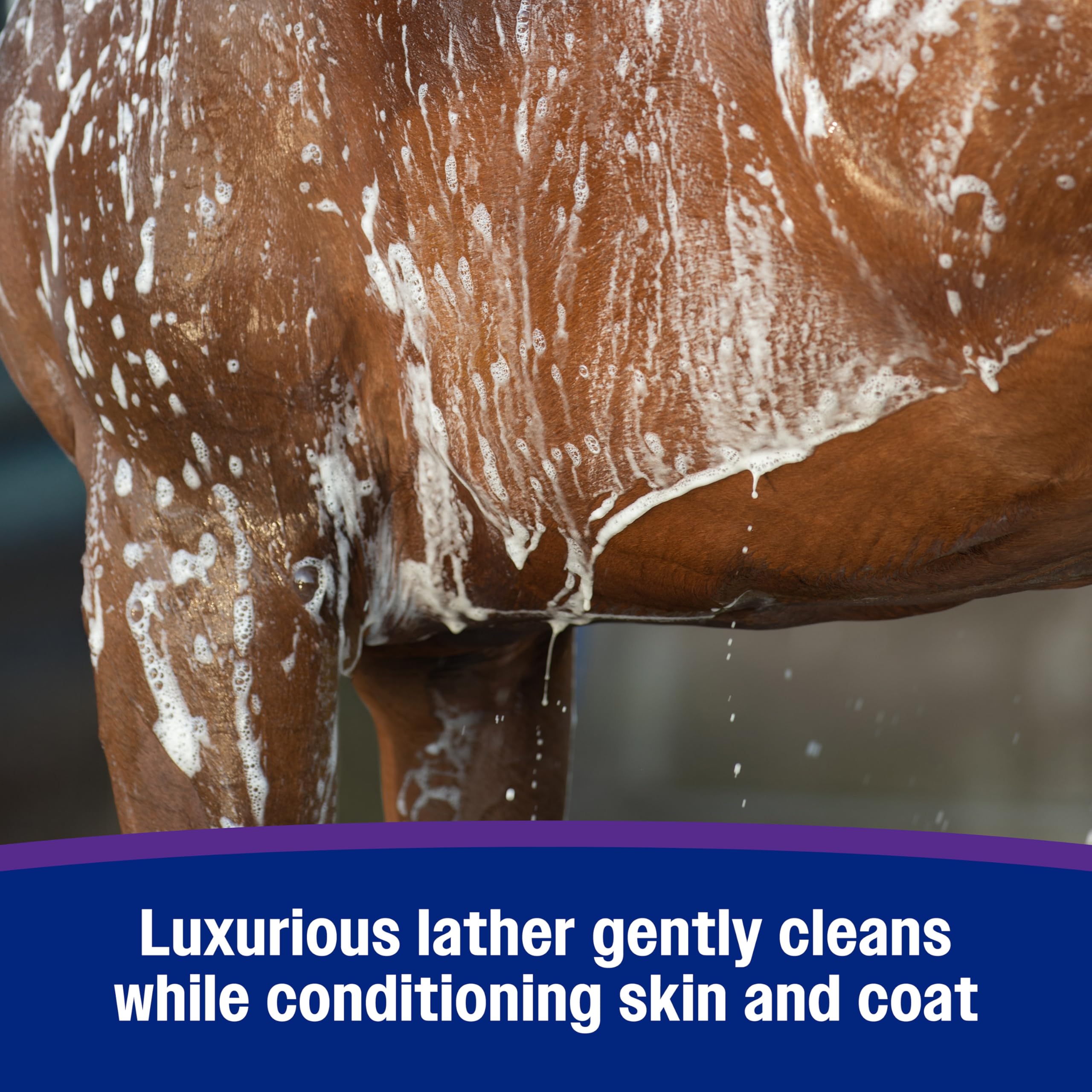 Farnam Vetrolin Body Wash, Time-Saving with No Scrubbing, Gentle and Moisturizing with Argan Oil, Soothes Dry Skin, for Horses and Dogs, 32 fl oz.