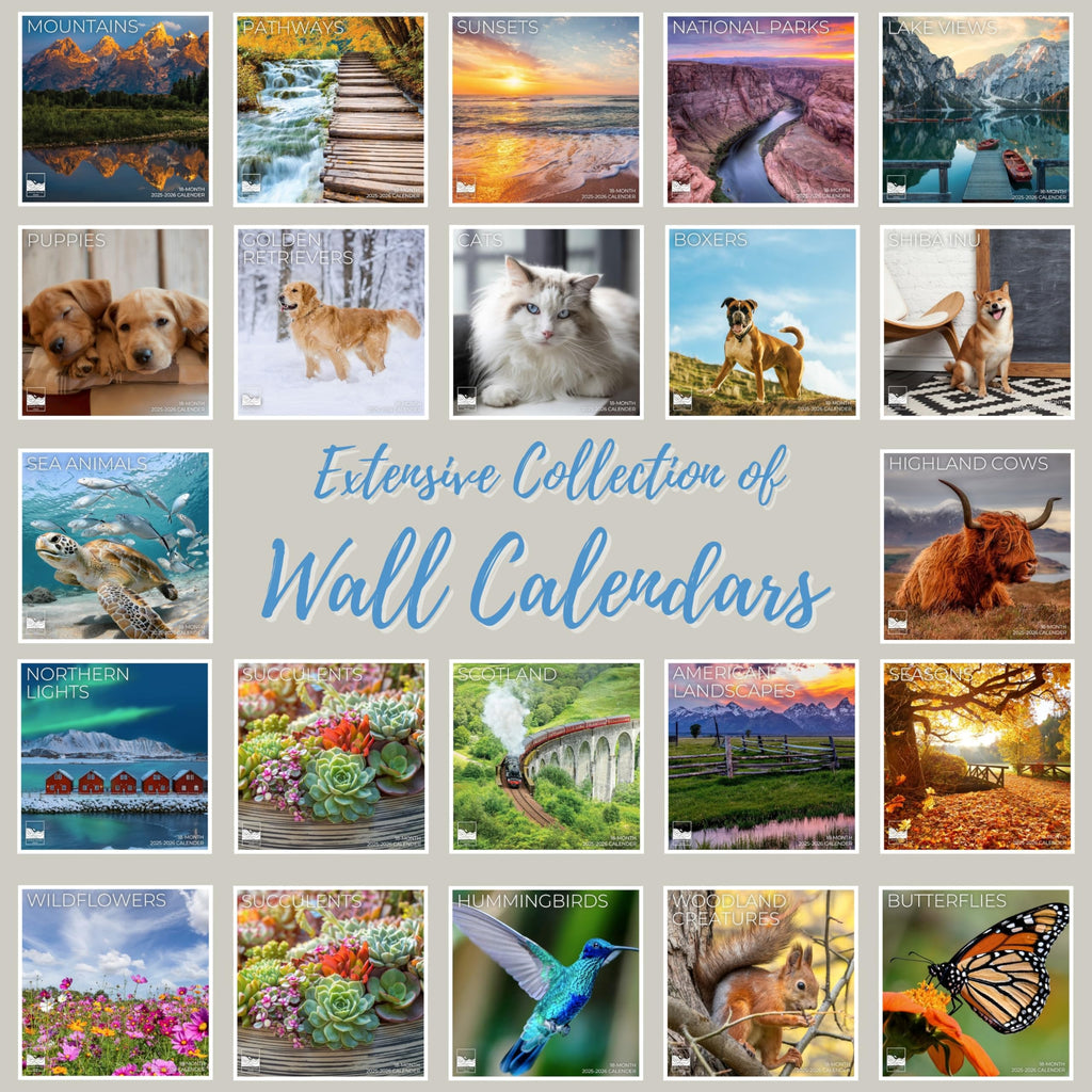 Black Lab Puppy Wall Calendar 2026 | 12" x 24" Open | Dog Calendar Photography Thick & Sturdy Paper | Office Kitchen Decor or Gift | Pacific Waters Press (Black Lab Puppies)