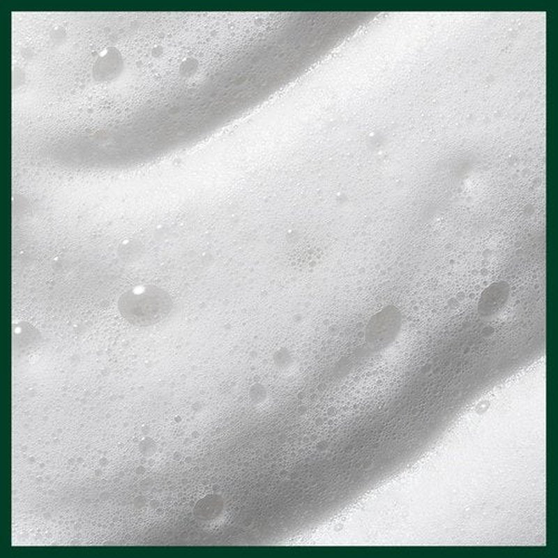 Aveda Nutriplenish Styling Foam - Nourishing Treatment for Healthy, Voluminous Hair