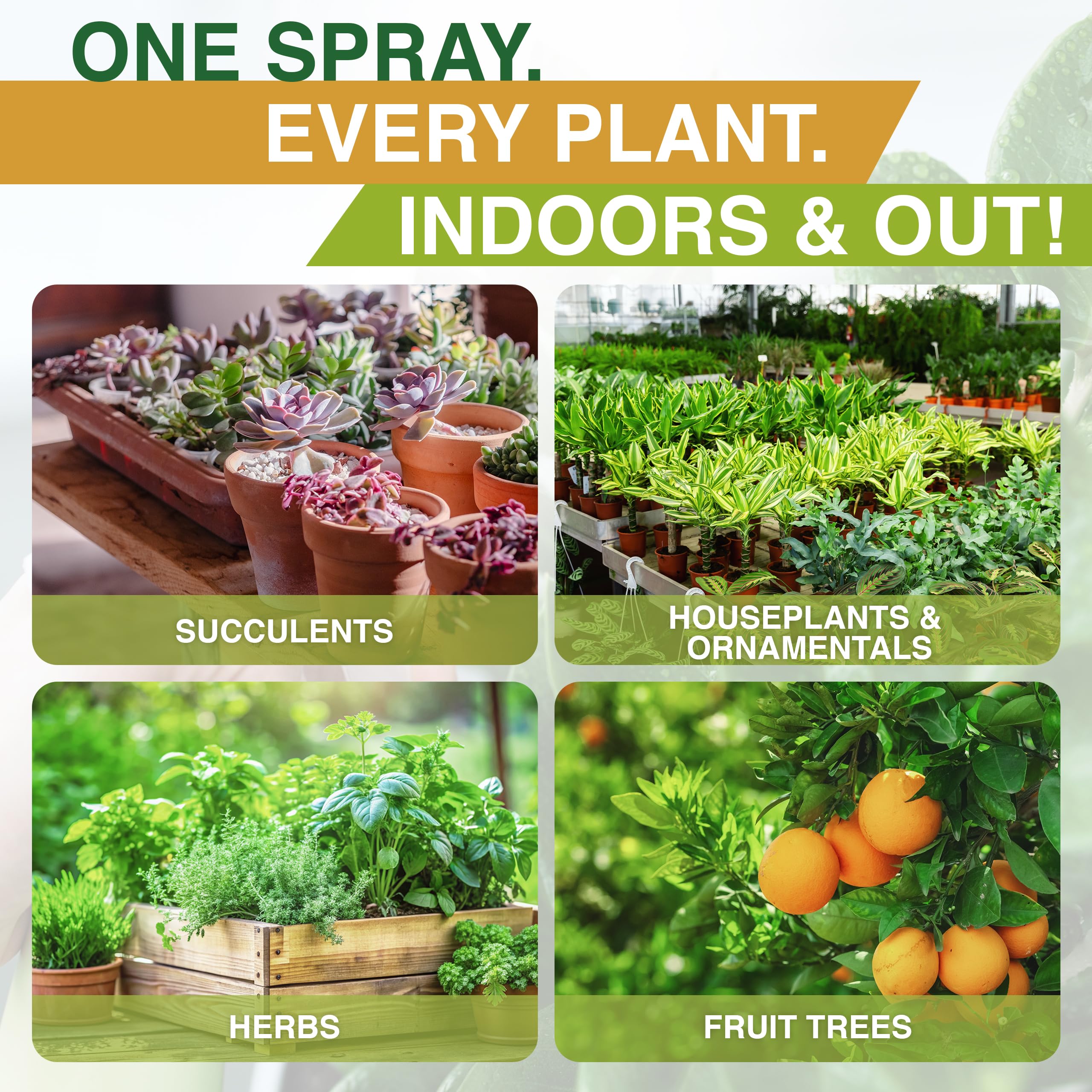 Nani’s Neem Oil Spray for Plants (1G Refill) - Ready-to-Use, Made from 100% Cold-Pressed Organic Neem Oil for Plants - Indoor & Outdoor Use for Healthier Horticultural Growth