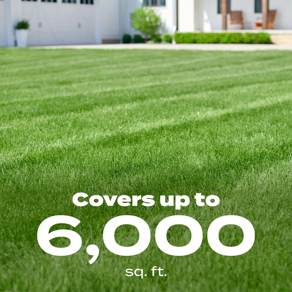 Scotts Liquid Turf Builder with Plus 2 Weed Control, 32 fl. oz.