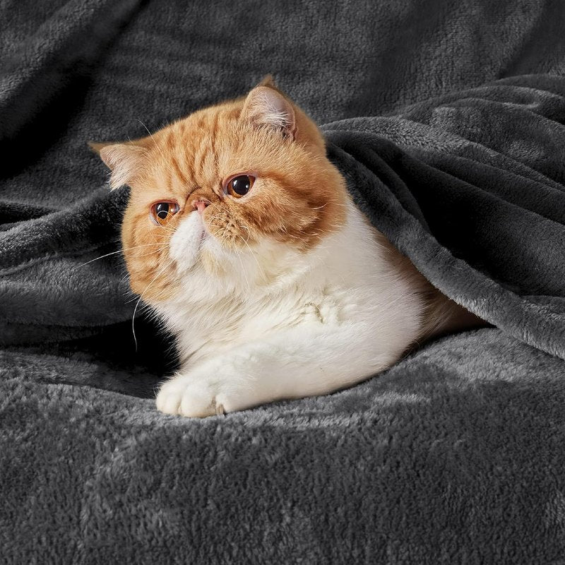 Bedsure GentleSoft Fleece Blanket - Soft, Lightweight, Plush Cozy Luxury in Charcoal, 84x90 Inches
