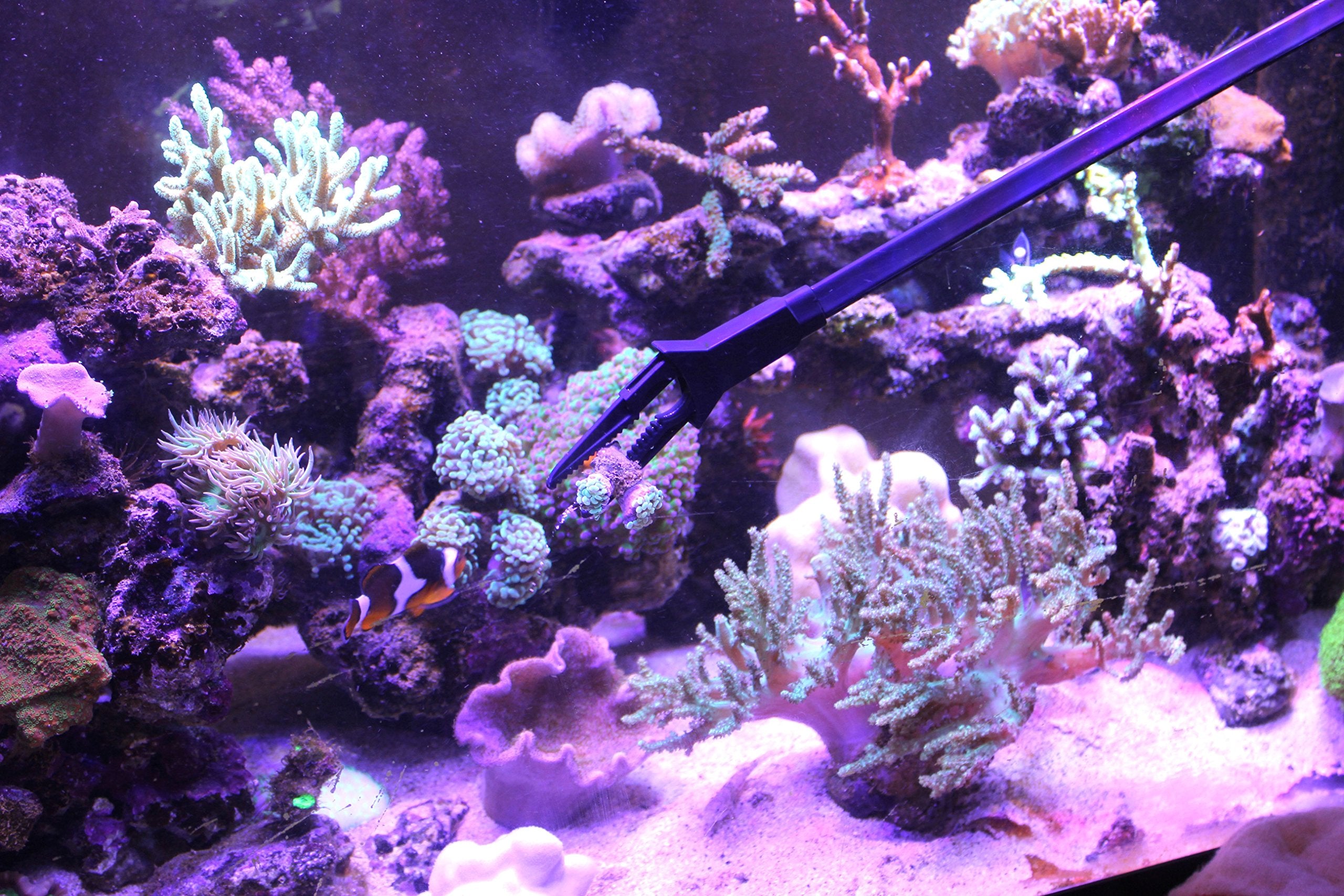 AquaticHI Aquarium Tongs 27 inch (70 cm), 100% Reef Safe, Multi Purpose for Fresh and Saltwater Fish Tanks, Clip Plants, Spot Feed Fish and Coral, Keep Hands Dry