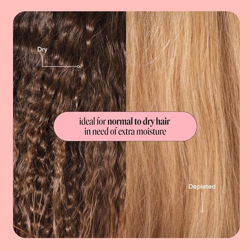 MONDAY HAIRCARE Moisture Shampoo + Conditioner Set for Dry, Coarse, Stressed, Frizzy Hair, Made with Coconut Oil, Rice Protein, Shea Butter and Vitamin E, All Natural, 12 fl oz (Pack of 2)