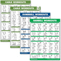 4 Pack - Cable Machine Workout Posters | Laminated 18" x 24" with Dumbbell & Barbell Exercises