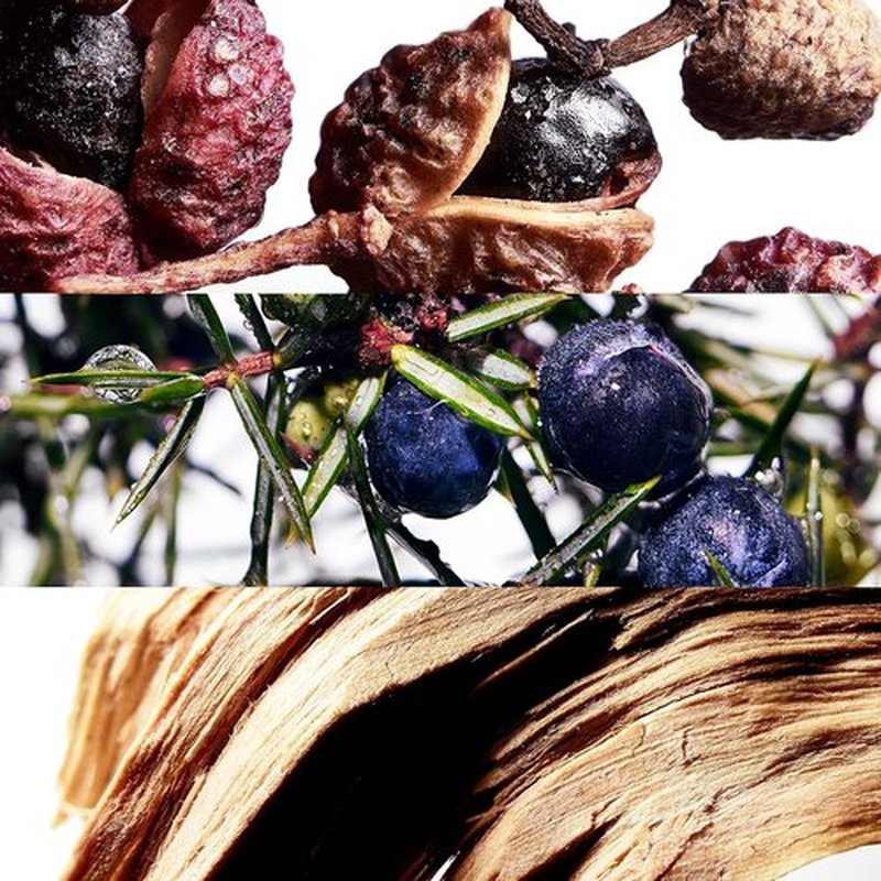 Davidoff Cool Water Wave Eau de Toilette - Fresh Woody Men's Cologne with Sichuan Pepper & Sandalwood - Long Lasting Fragrance