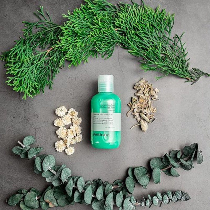 Anthony 2-In-1 Body Wash & Shampoo - Invigorating Pine Wood Scent, Hydrating Formula, 3.4 Fl. Oz
